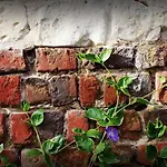 Liebevoll Renoviertes Als Teil Eines Kleinen Bauernhauses Mit Abgesc By Interhome Prázdninový dům *
